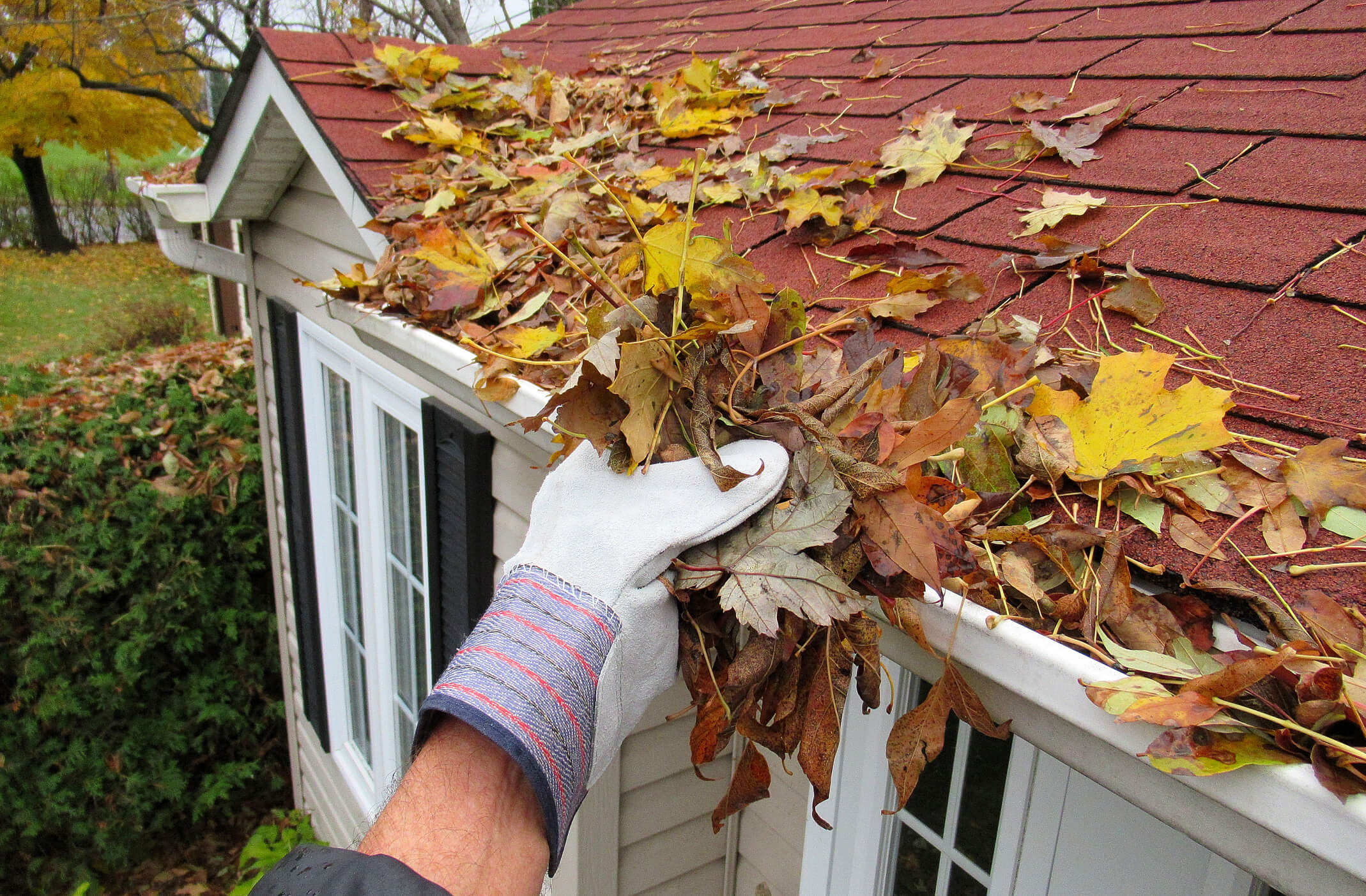 Guy Cleaning Gutters Filled With Leaves